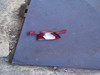 thumb_pb122091.jpg